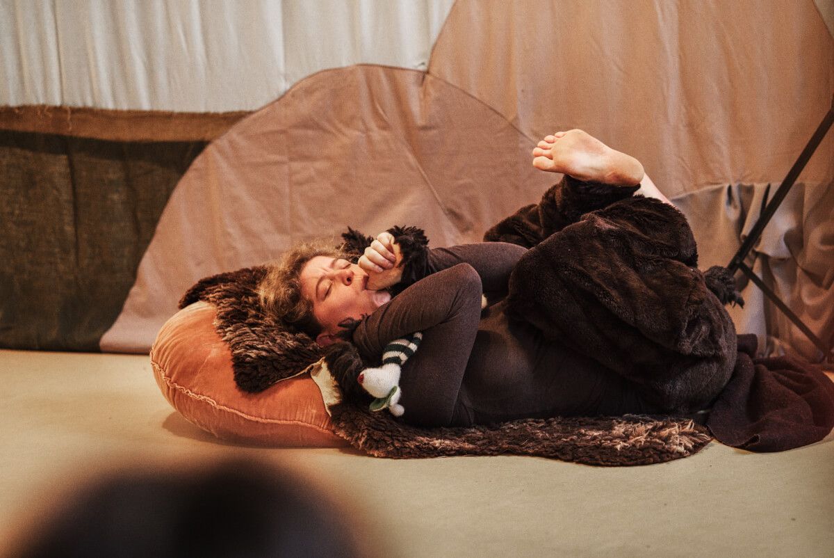 Der kleine Bär Live